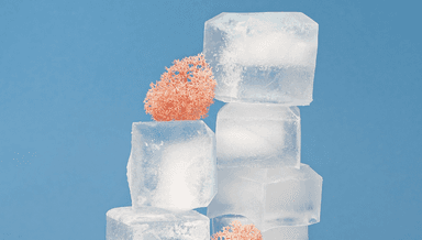 Image for Ice roll